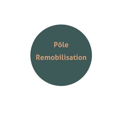 remobilisation-professionnelle-transition-reconversion